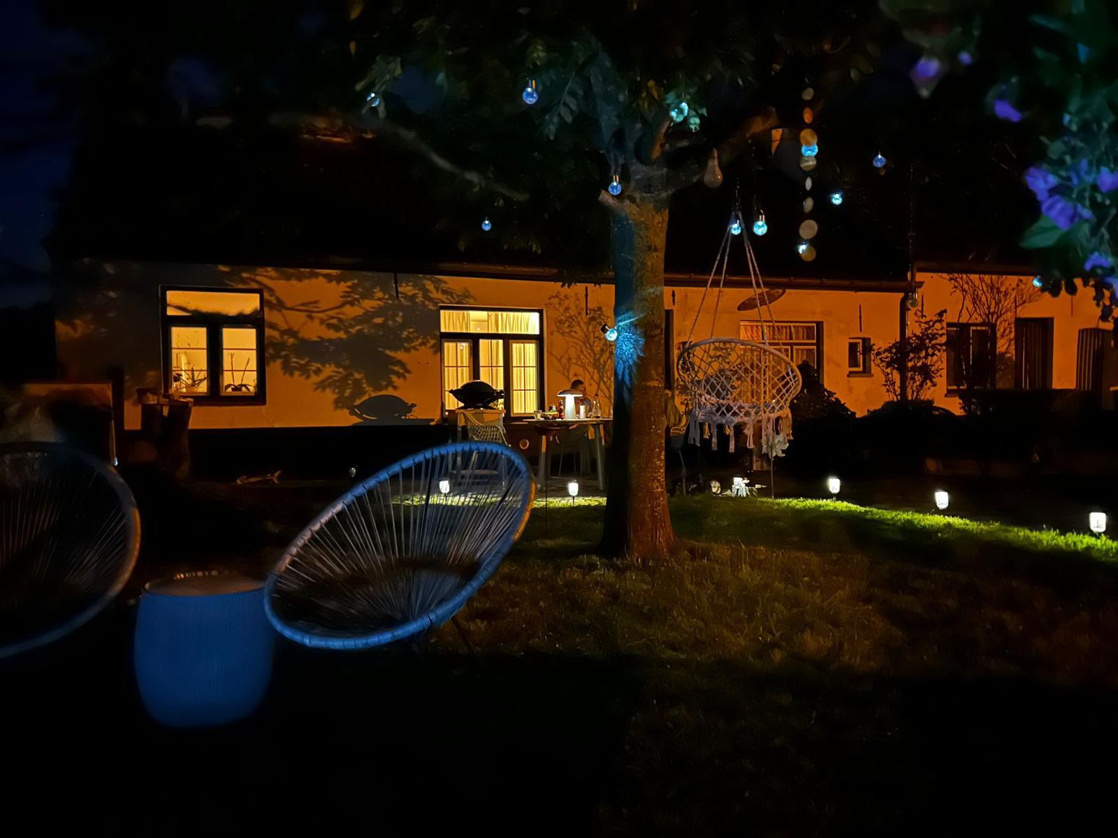Tuin bij nacht